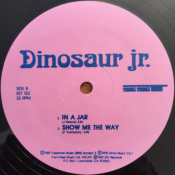 Dinosaur Jr. : Little Fury Things (12", Pin)