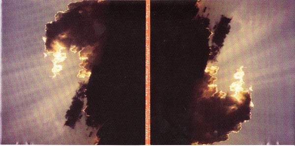 The Faint : Wet From Birth (CD, Album, Enh)