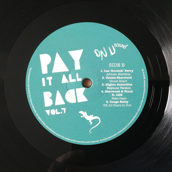 Various : Pay It All Back Vol. 7 (2xLP, Comp)