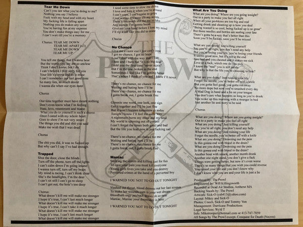 The Prowl : What Are You Doing? (7", Ora)