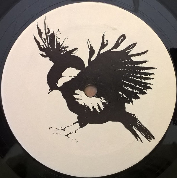 Fifteen.* : Swain's First Bike Ride (LP, Album)