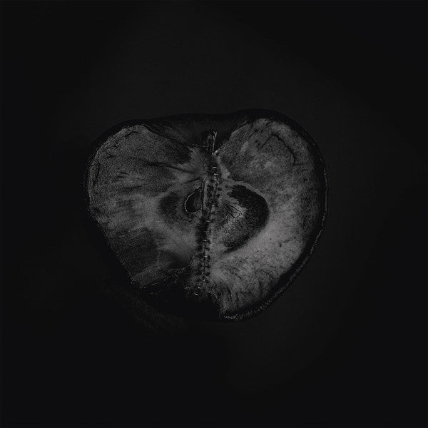Sádon & Treha Sektori : Symphony Of Dying (LP, Album)