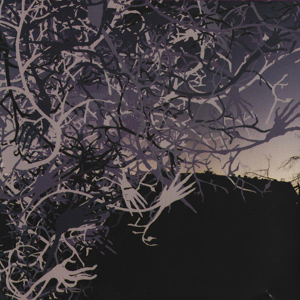 ¡M.G.R.* y Destructo Swarmbots!* : Amigos De La Guitarra (CD, Album)