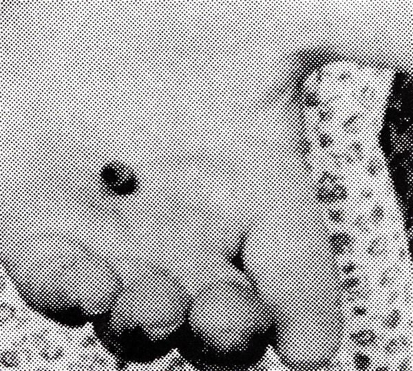 Earth (2) : Phase 3 Thrones And Dominions (CD, Album, RE, Dig)