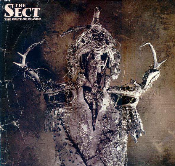 The Sect : The Voice Of Reason (LP, Album)