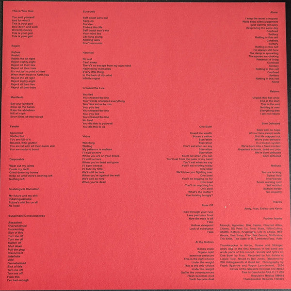 Thumbsucker : Infinite Regret (LP, Album)