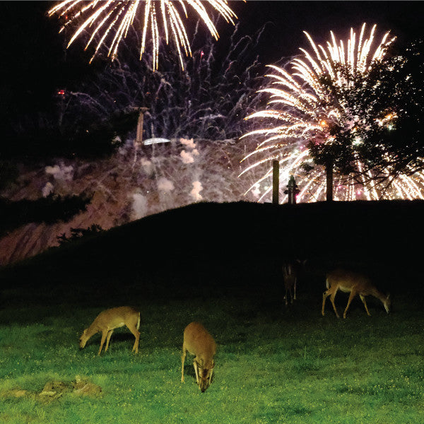 Home Is Where - Hunting Season LP