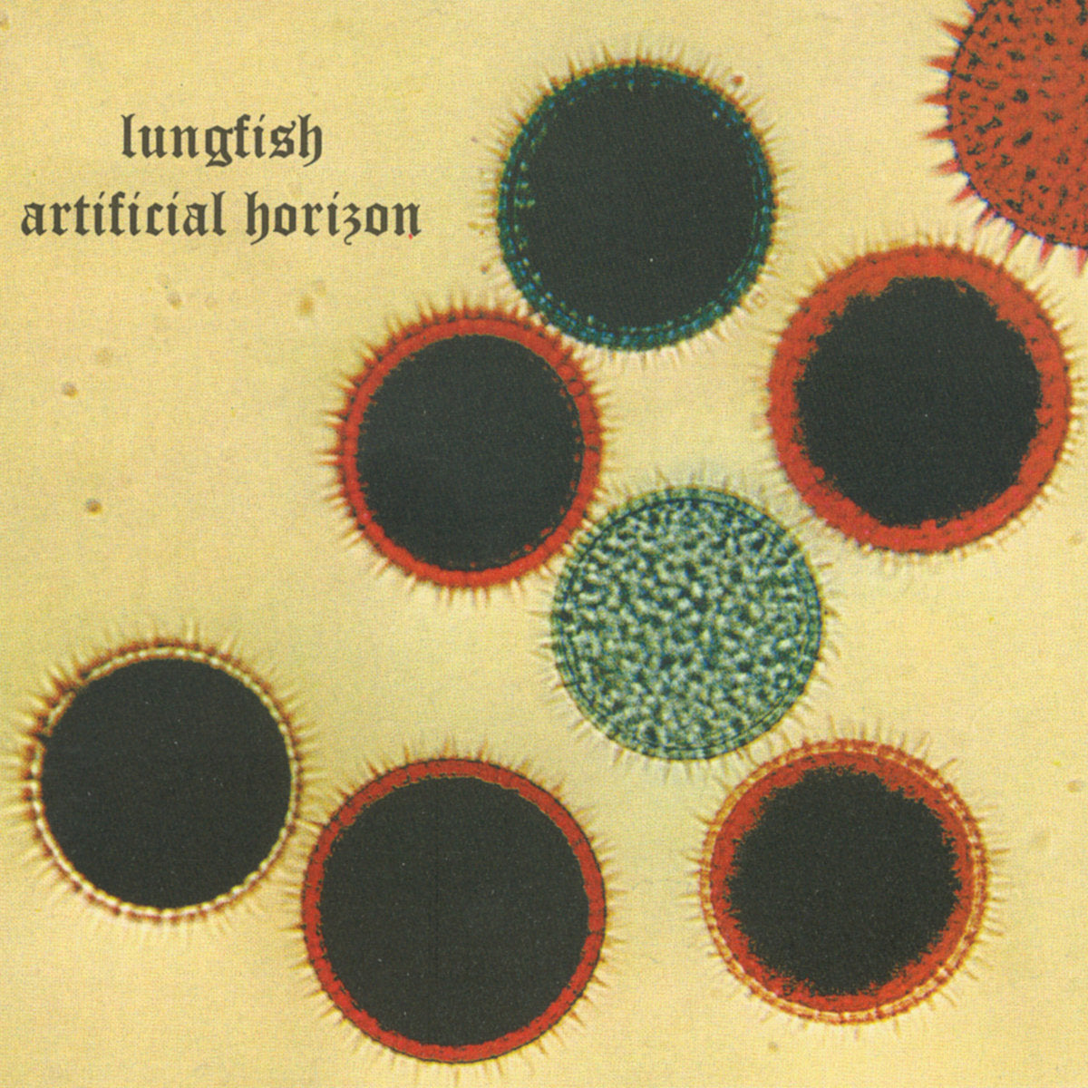 Lungfish - Artificial Horizon LP