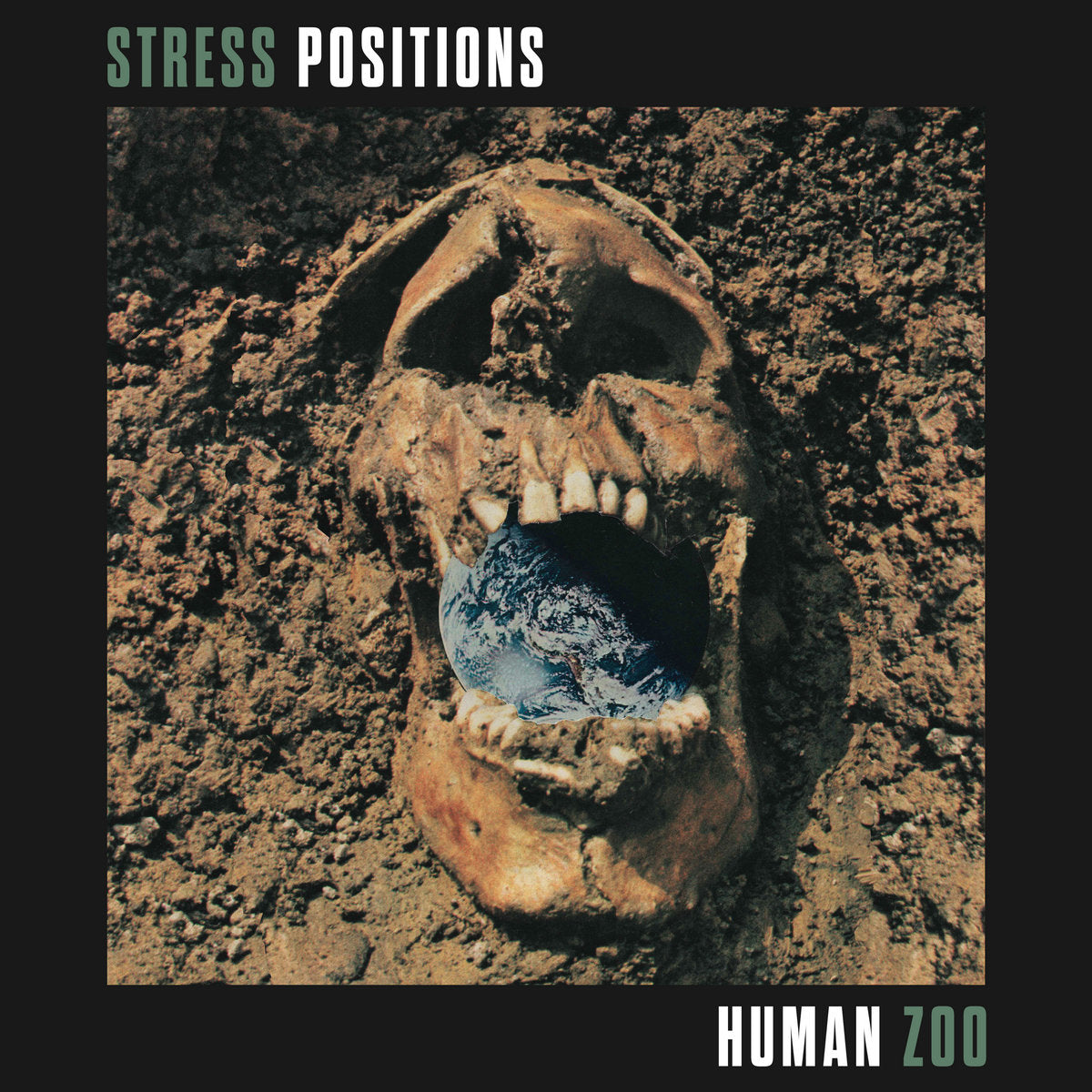 Stress Positions - Human Zoo LP
