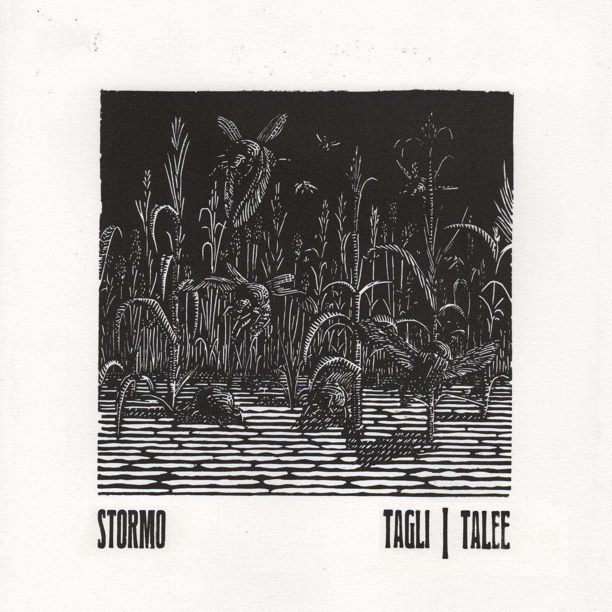 Stormo - Tagli / Talee LP