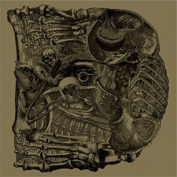 Boris β Dear 7" - Vinyl - kilikilivilla