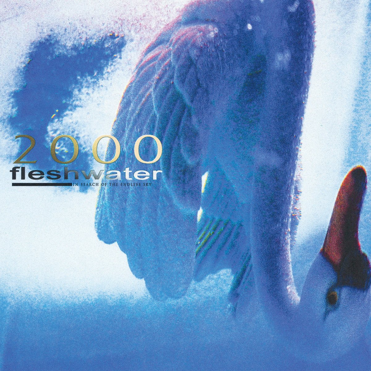 Fleshwater - 2000: In Search Of The Endless Sky LP - Vinyl - Closed Casket Activities