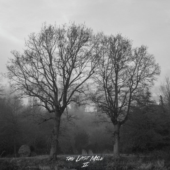 The Last Mile - II 7"