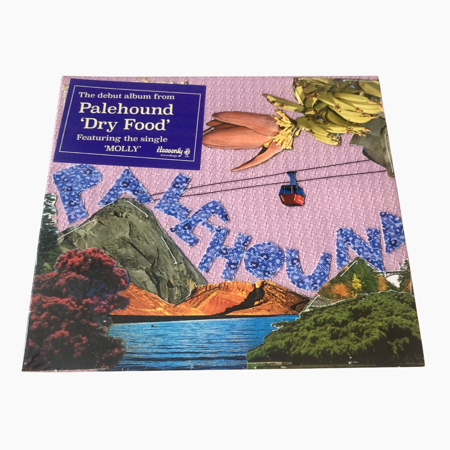 Palehound - Dry Food CD
