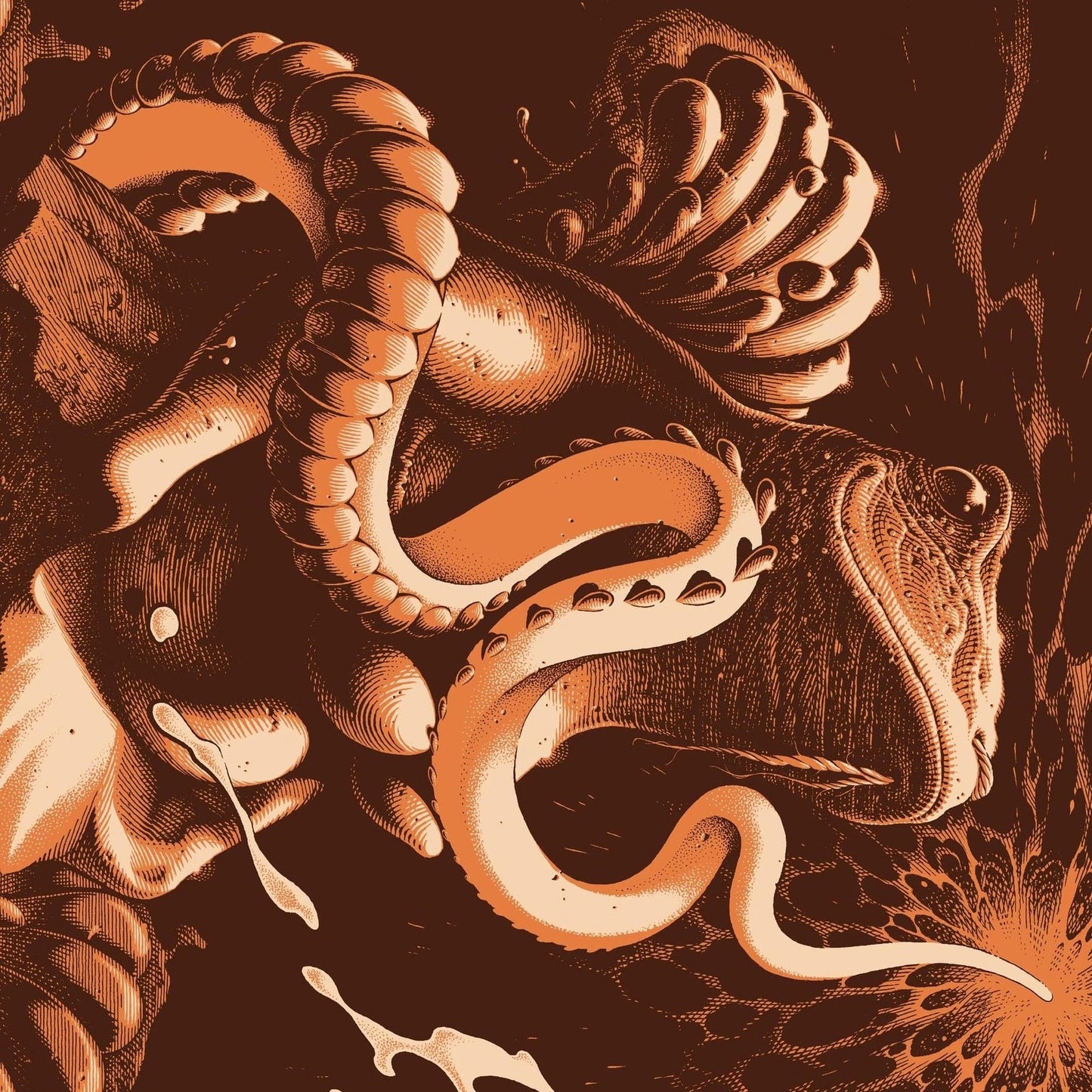 Boris - Amplifier Worship 2xLP