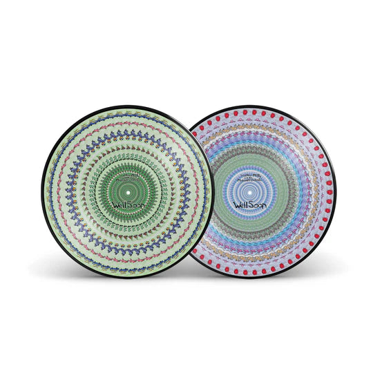 Walter Mitty and his Makeshift Orchestra - Well Soon LP