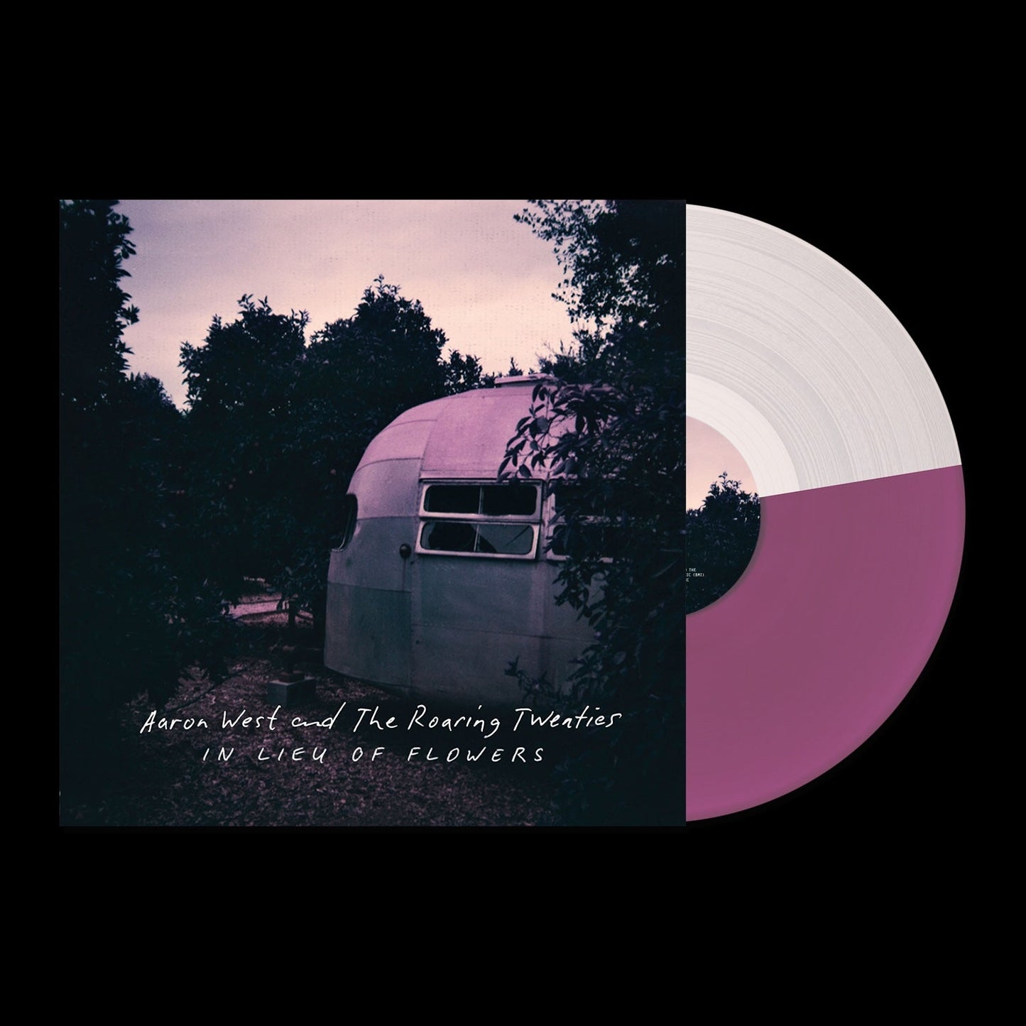 Aaron West and The Roaring Twenties - In Lieu of Flowers LP - Vinyl - Hopeless