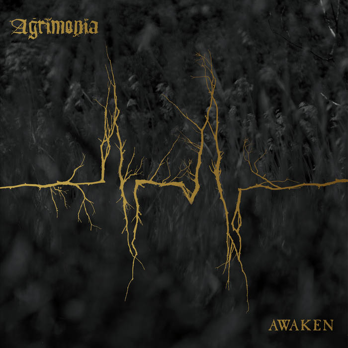 Agrimonia β- Awaken 2xLP - Vinyl - Southern Lord