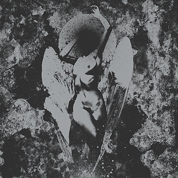 Converge / Dropdead - Split 7" - Vinyl - Deathwish