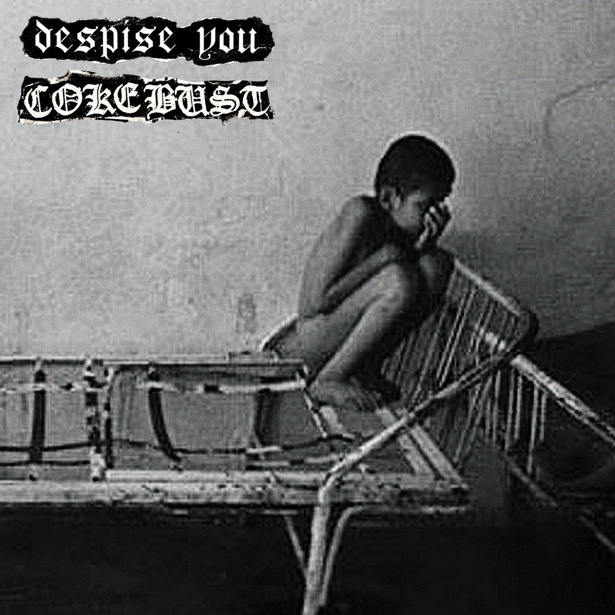 Despise You / Coke Bust - Split 7" - Vinyl - To Live A Lie