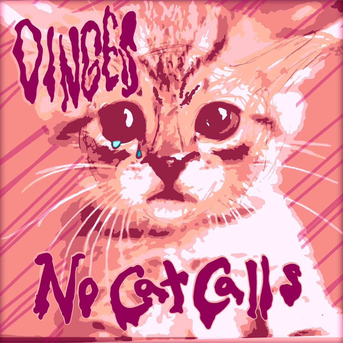 Dinges - No Cat Calls 7" - Vinyl - Dinges