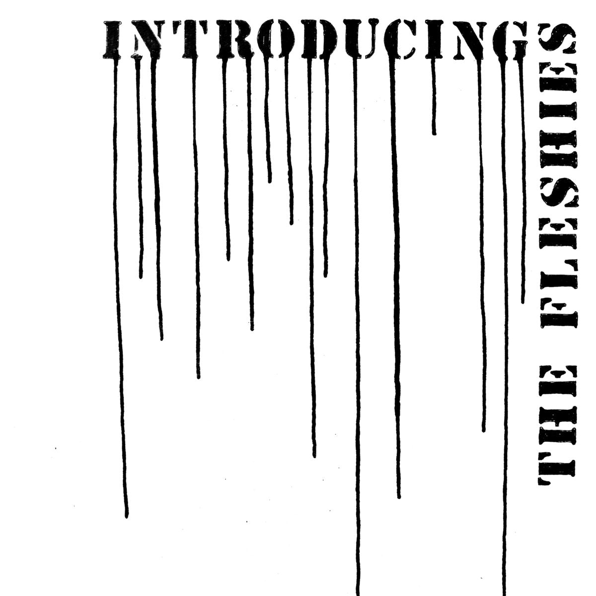Fleshies - Introducing The Fleshies LP - Vinyl - Dirt Cult