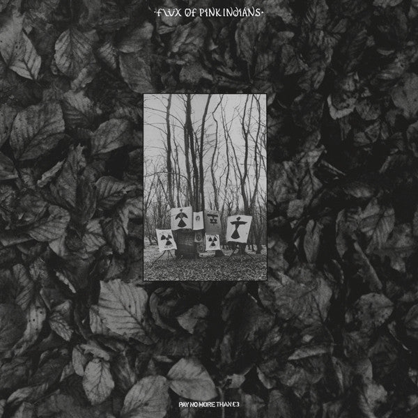 Flux Of Pink Indians - Strive To Survive Causing Least Suffering Possible 2xLP - Vinyl - One Little Independent