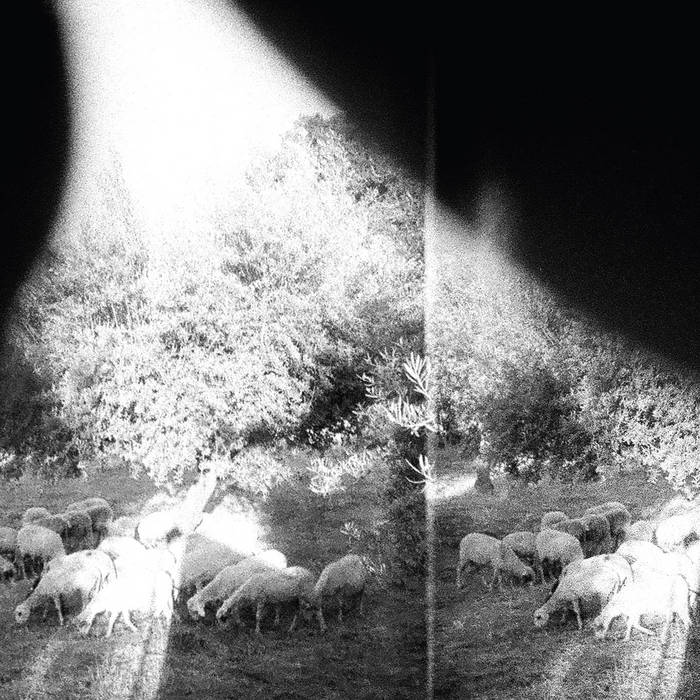 Godspeed You! Black Emperor - Asunder, Sweet And Other Distress LP - Vinyl - Constellation