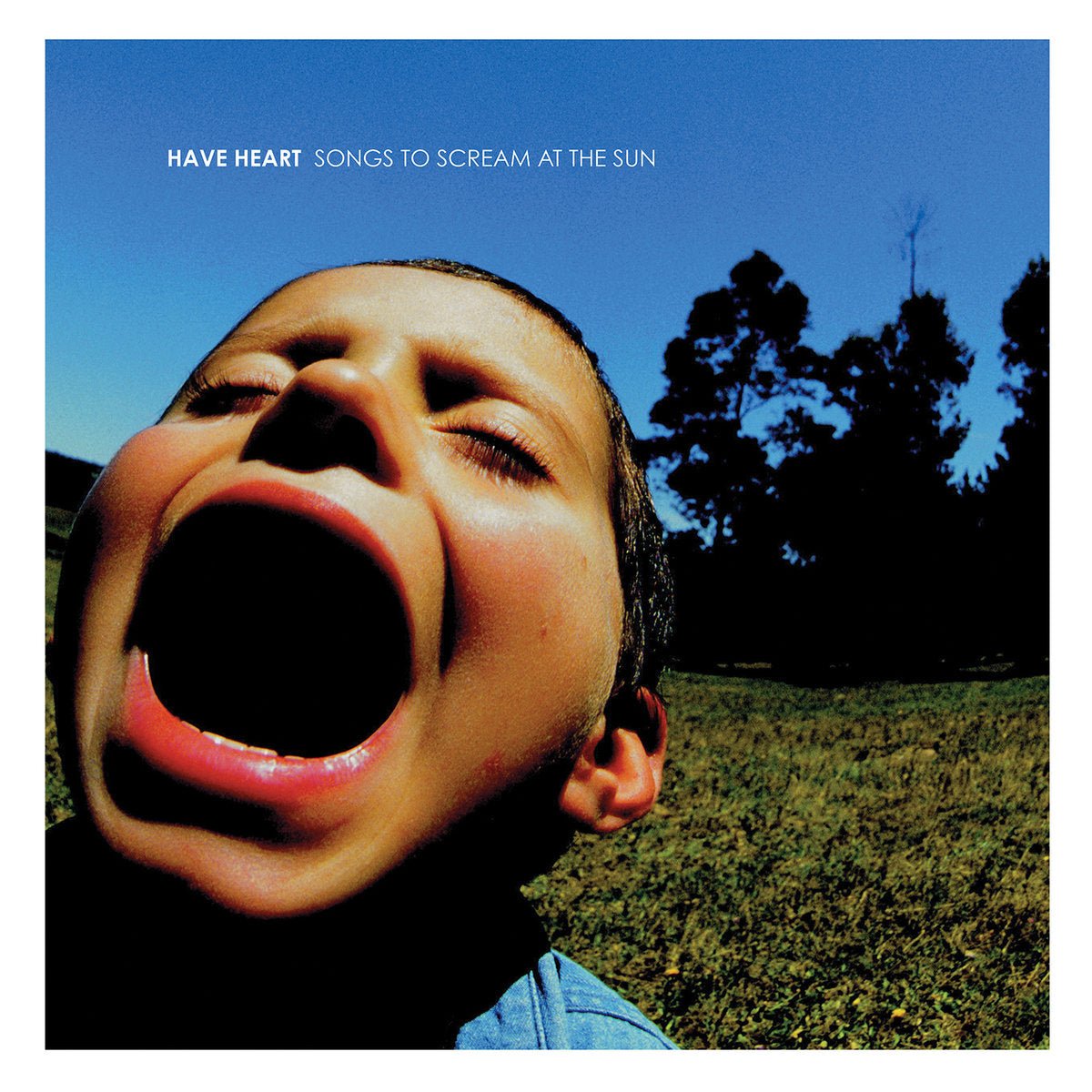 Have Heart - Songs To Scream At The Sun LP - Vinyl - Bridge Nine