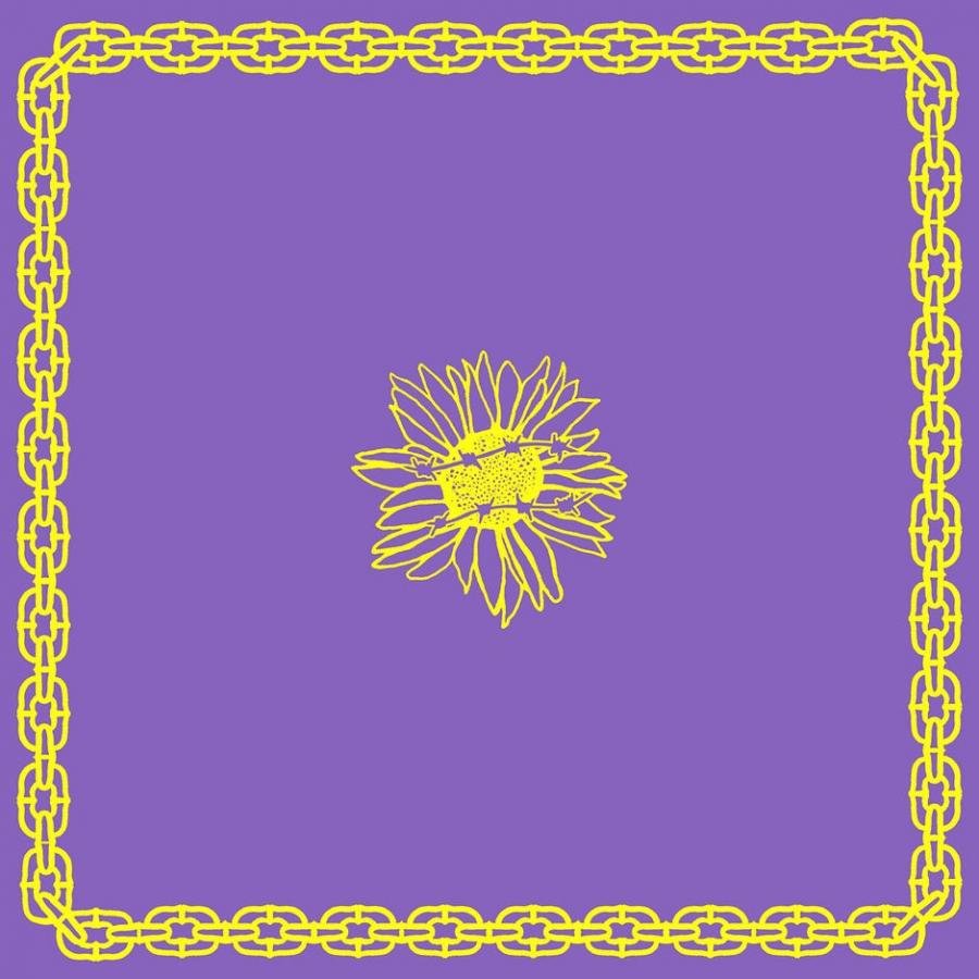 Milk Teeth - Go Away 12" - Vinyl - Roadrunner