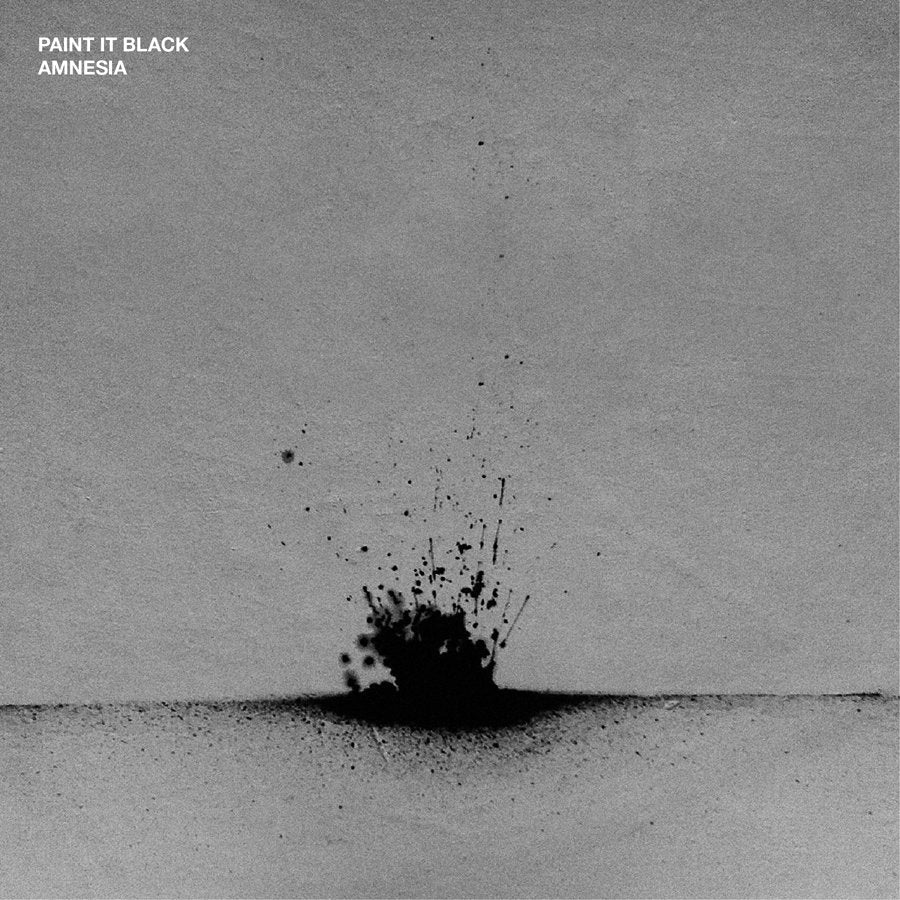Paint It Black - Amnesia 7" - Vinyl - Bridge Nine