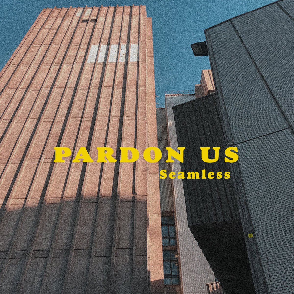Pardon Us - Seamless LP - Vinyl - Everything Sucks
