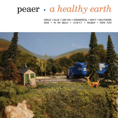 Peaer ‎- A Healthy Earth LP - Vinyl - Tiny Engines