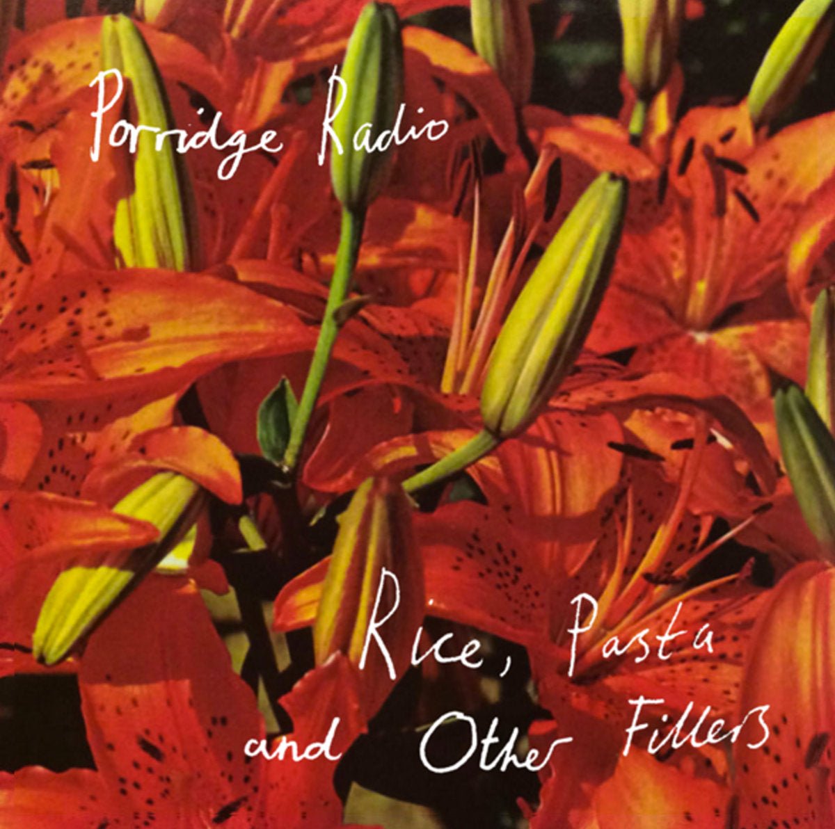 Porridge Radio - Rice, Pasta & Other Fillers LP - Vinyl - Memorials Of Distinction