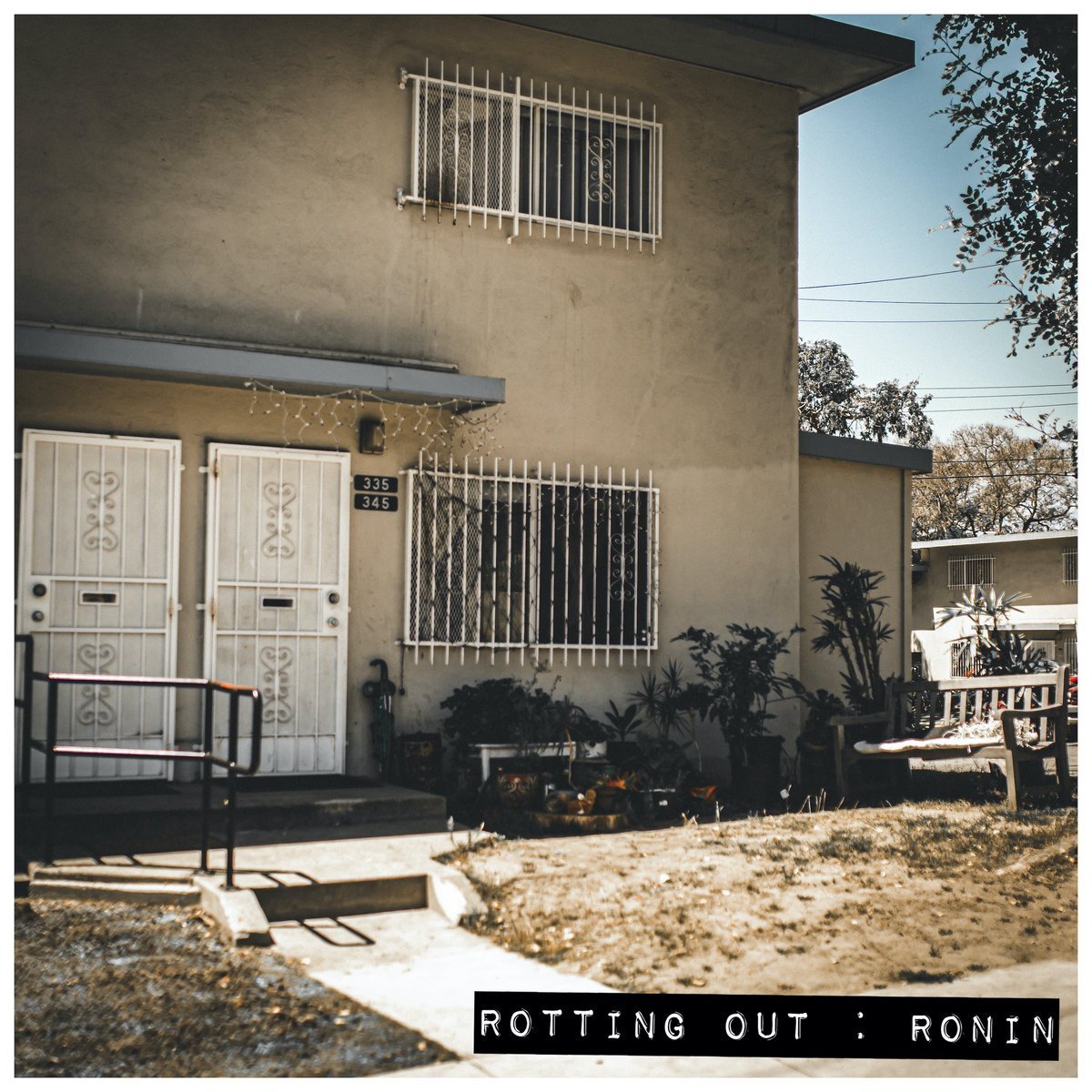Rotting Out - Ronin LP - Vinyl - Pure Noise