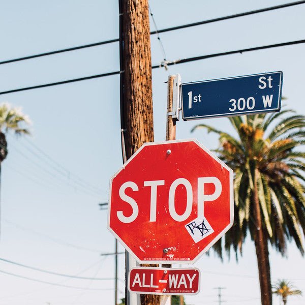 Rotting Out ββ Street Prowl LP - Vinyl - 6131