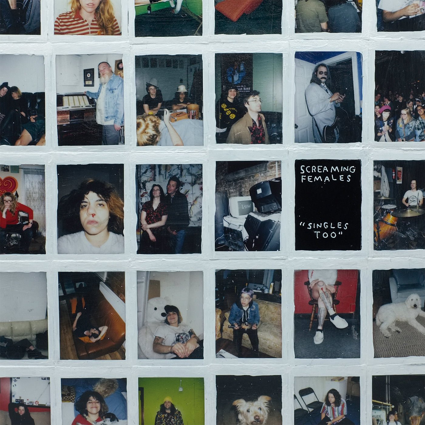 Screaming Females - Singles Too LP - Vinyl - Don Giovanni