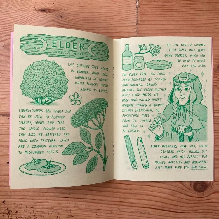 Seasonal Wild Plant Zines - Kristyna Baczynski - Zine - Kristyna Baczynski