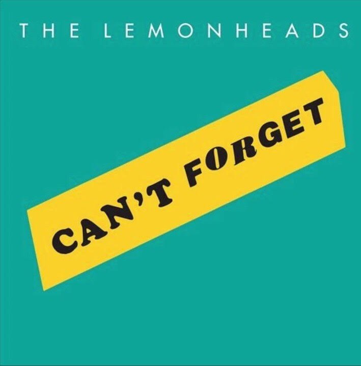 The Lemonheads - Can't Forget 7" - Vinyl - Fire