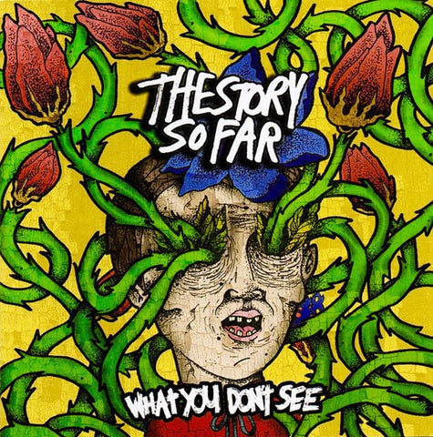 The Story So Far - What You Don't See LP - Vinyl - Pure Noise Records