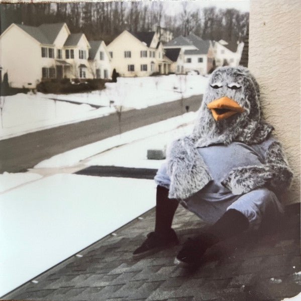 The Wonder Years – Suburbia I've Given You All And Now I'm Nothing LP - Vinyl - Hopeless