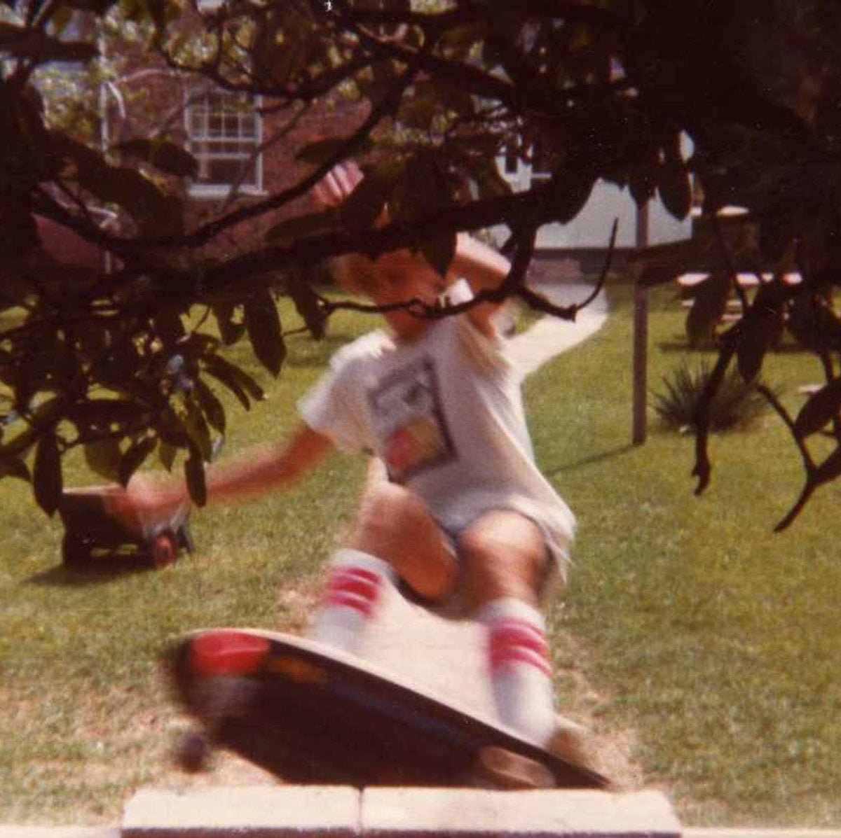 Wavves - Wavvves LP - Vinyl - Fat Possum