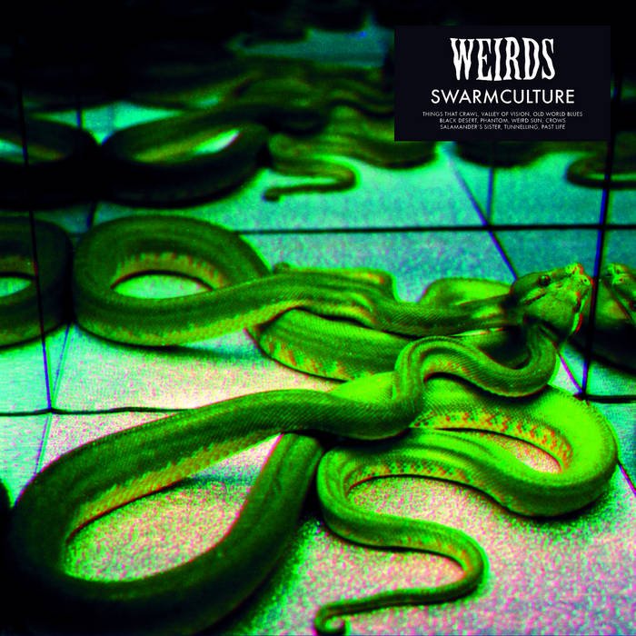 Weirds β Swarmculture LP - Vinyl - Alcopop!