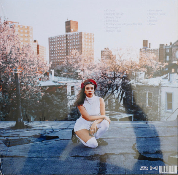 Hurray For The Riff Raff : The Navigator (LP, Album)