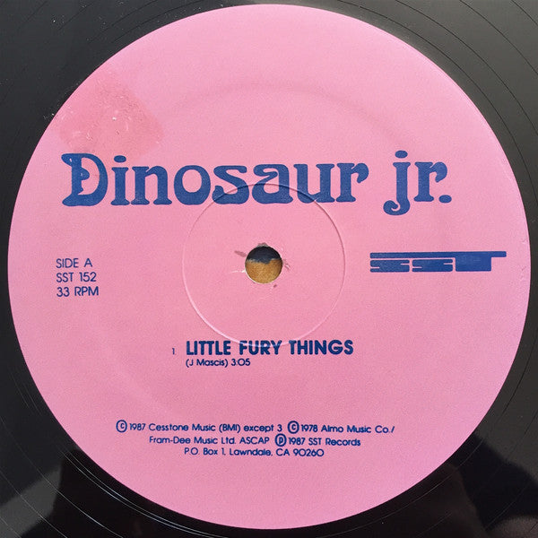 Dinosaur Jr. : Little Fury Things (12", Pin)