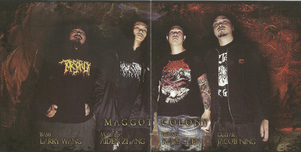 Maggot Colony (2) : Vile Reincarnation (CD, Album)