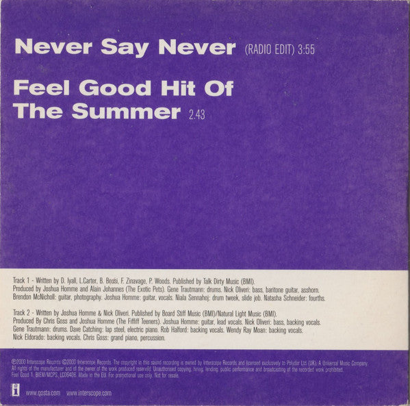 Queens Of The Stone Age : Never Say Never (CD, Single, Promo)