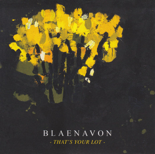Blaenavon : That's Your Lot (CD, Album)
