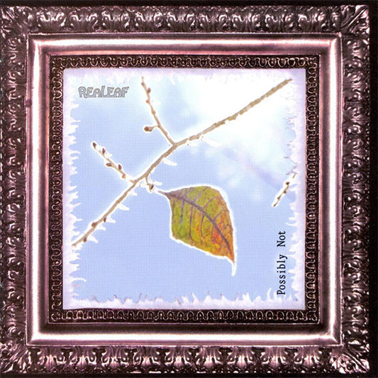 Realeaf : Possibly Not (CD, Album)