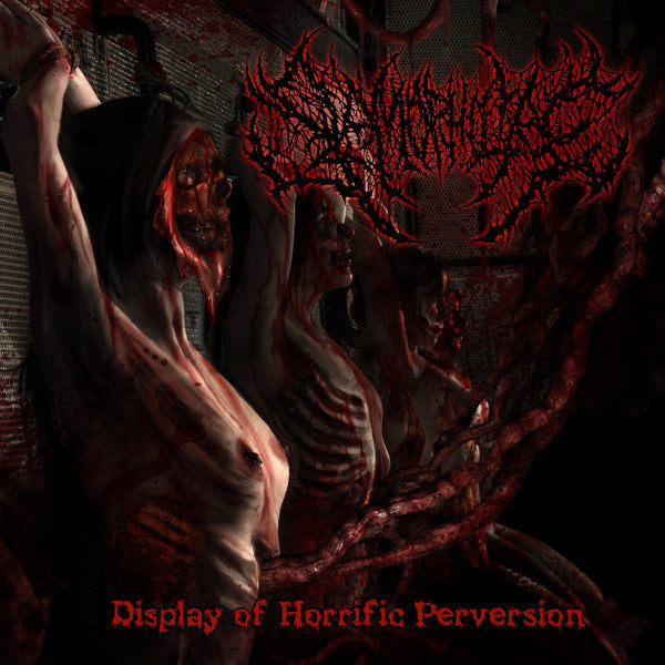 Slamophiliac : Display Of Horrific Perversions (CD, Album)